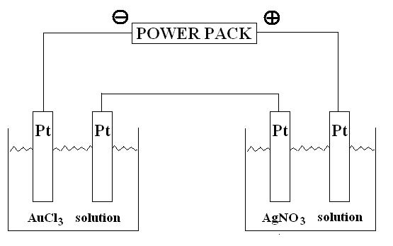 AuCl3andAgNO3_HalfCells.JPG