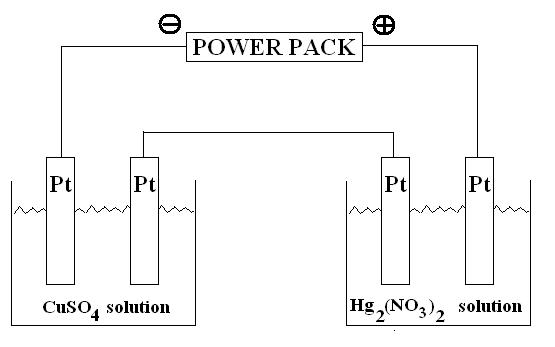 CuSO4andHg2NO3_2_HalfCells.JPG